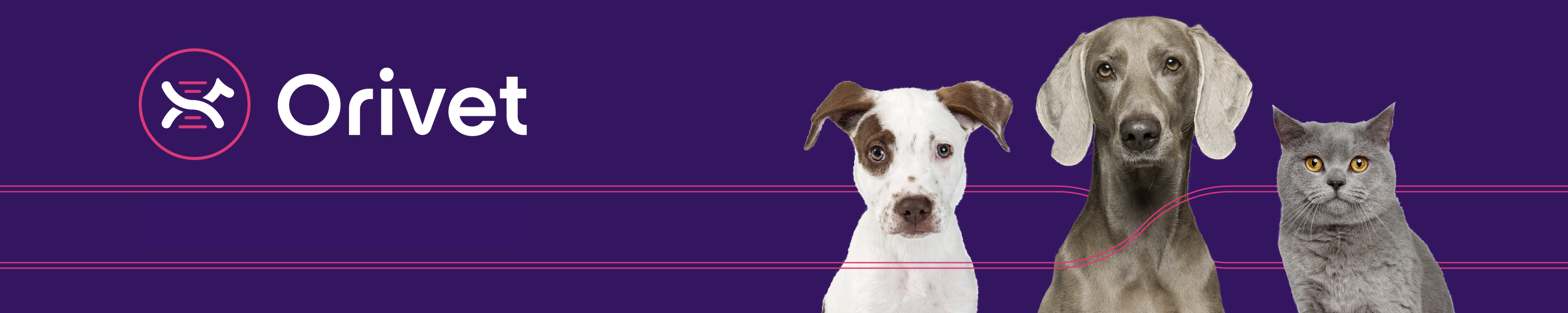 Orivet Dog DNA Test Kits