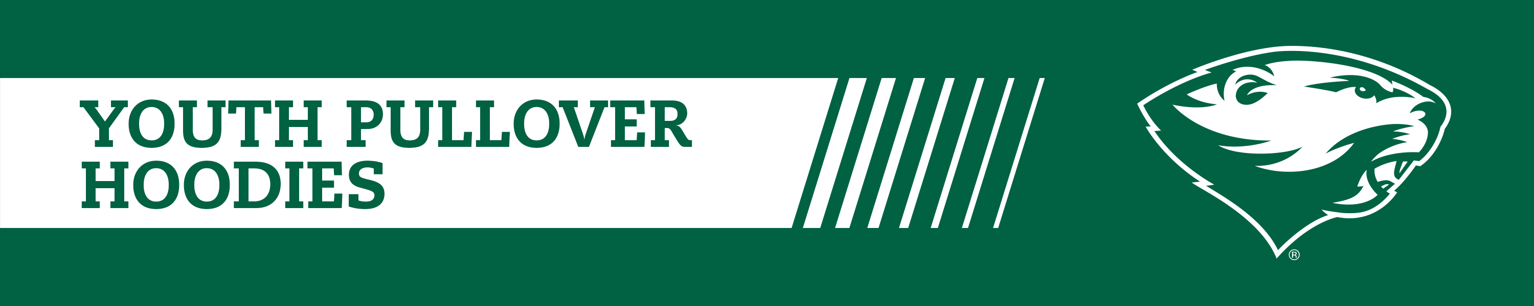 Babson hoodie Clearance