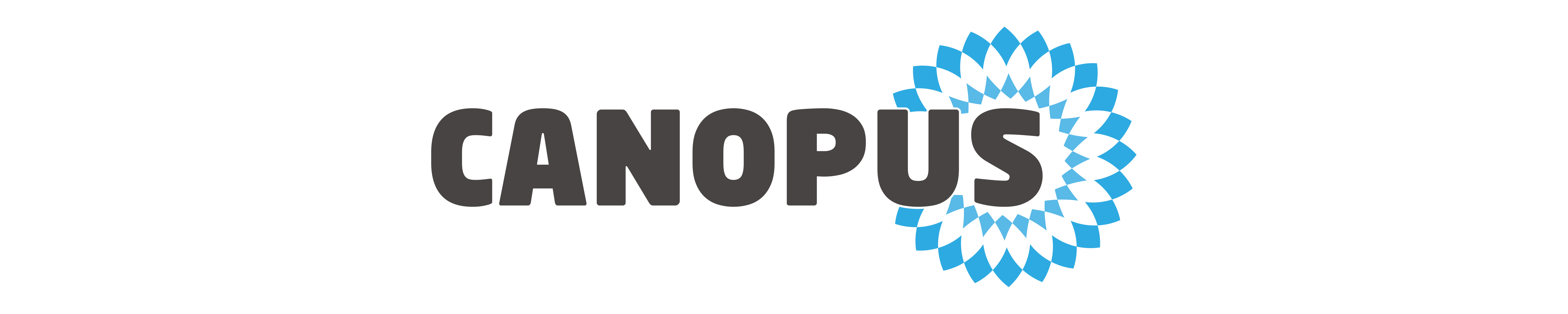 CANOPUS How to Choose the Best Sound Deadening Mat for