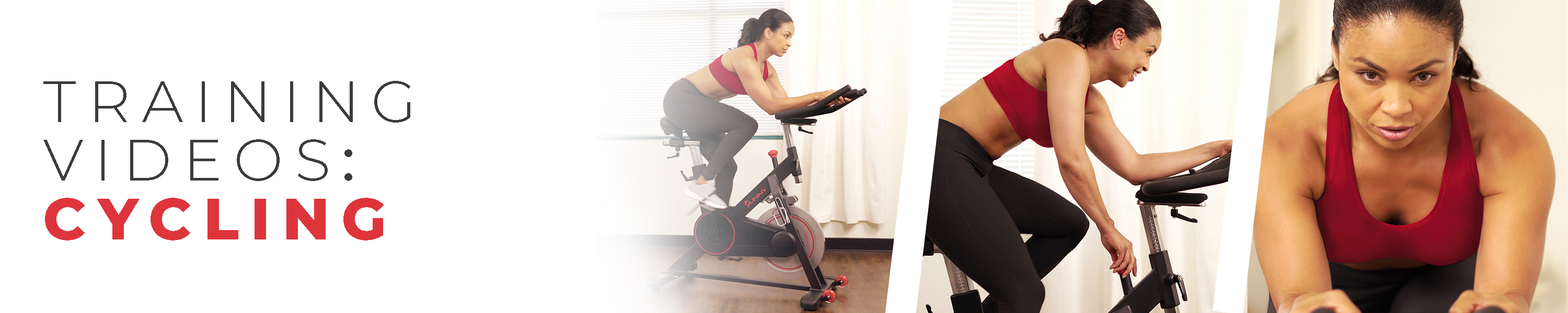 sunny health and fitness cycle