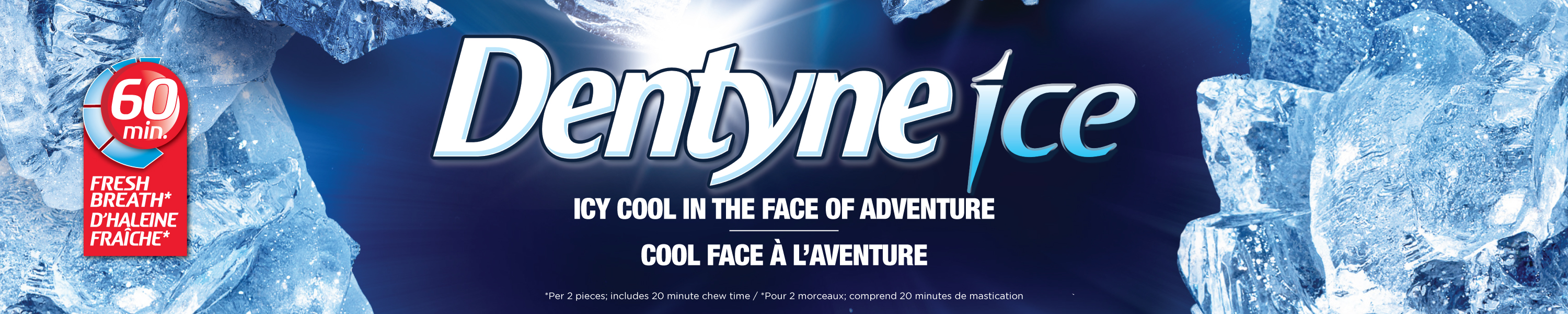 Amazon.ca: Dentyne