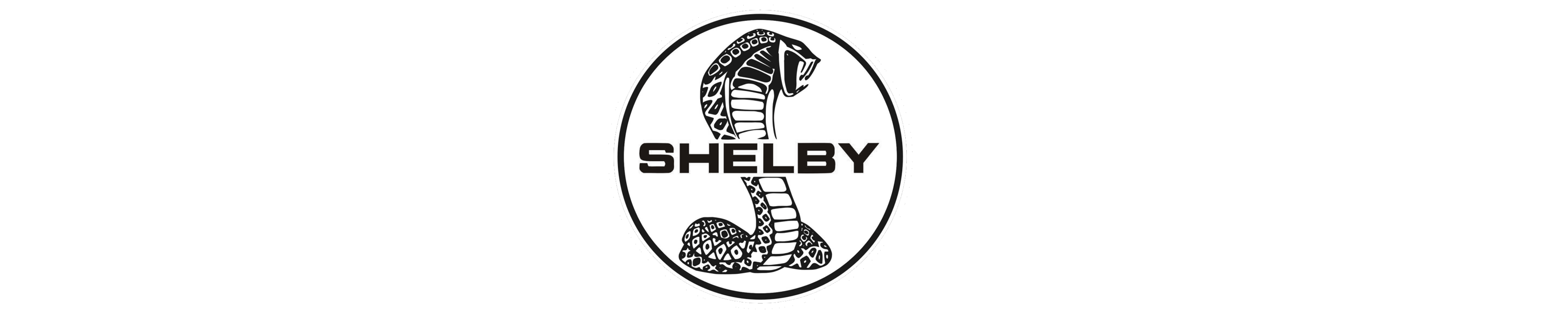 JH Design Group Shelby Ford