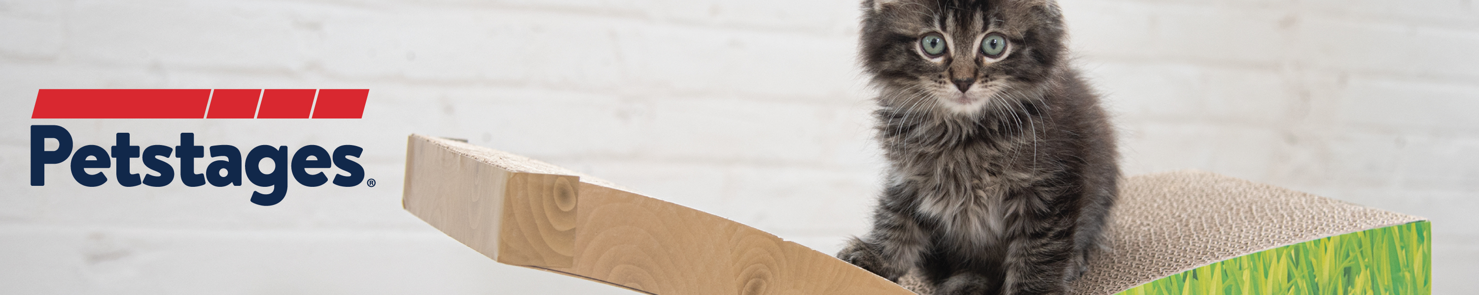 Amazon.ca Petstages Scratch Toys