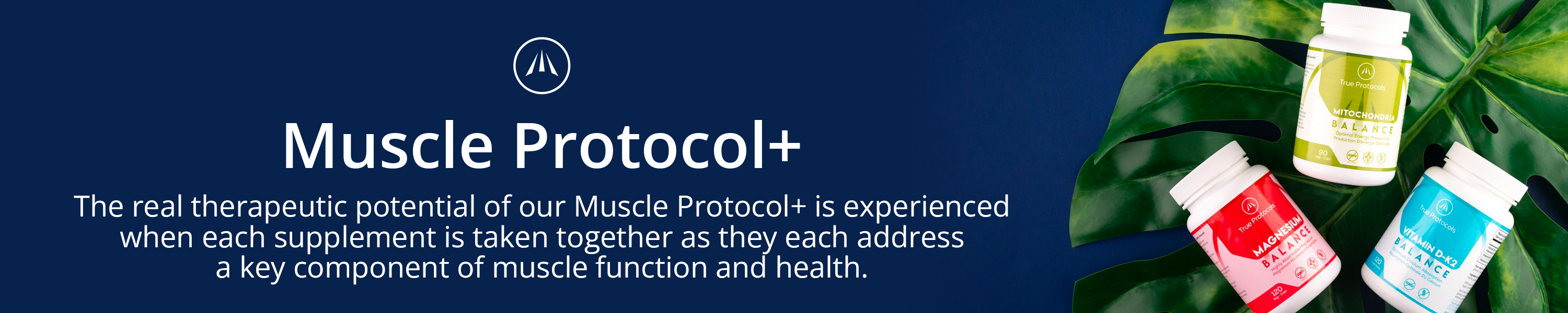 Amazon.ca: True Protocols: Muscle Protocol+