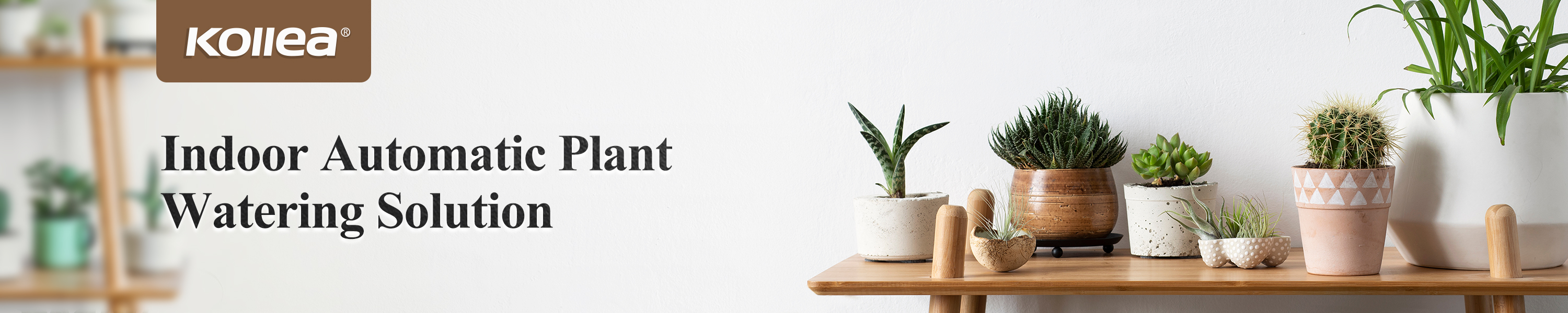 Amazon.ca KOLLEA Automatic Watering System