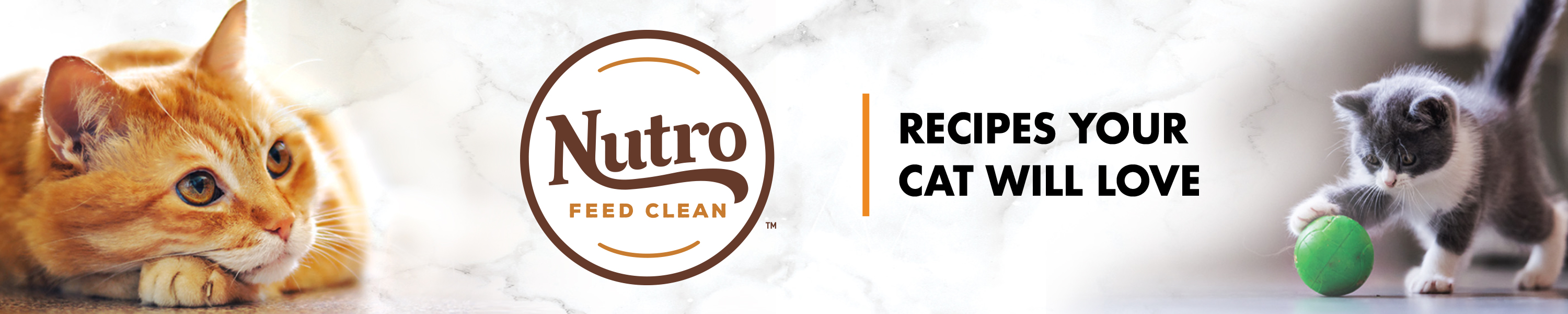 Amazon.ca NUTRO CAT FOOD