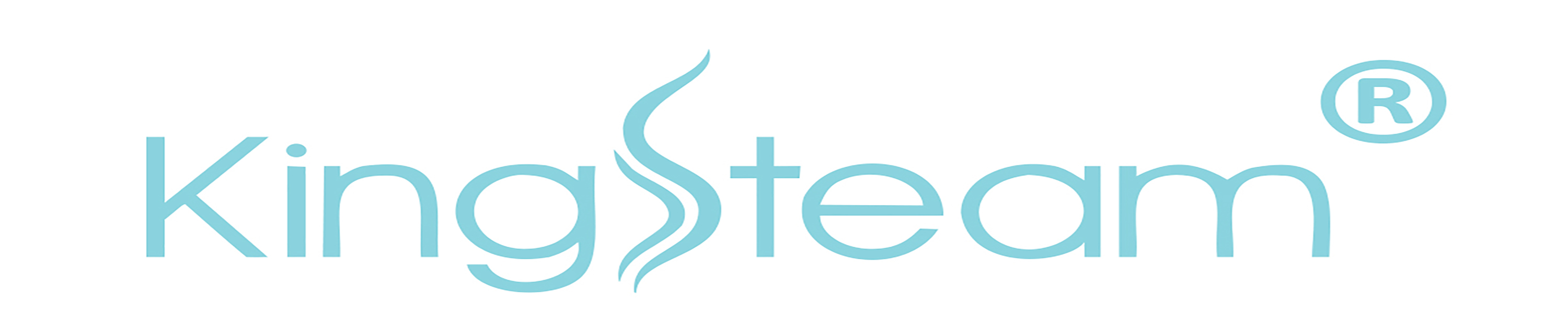 Kingsteam HAIR STEAMER