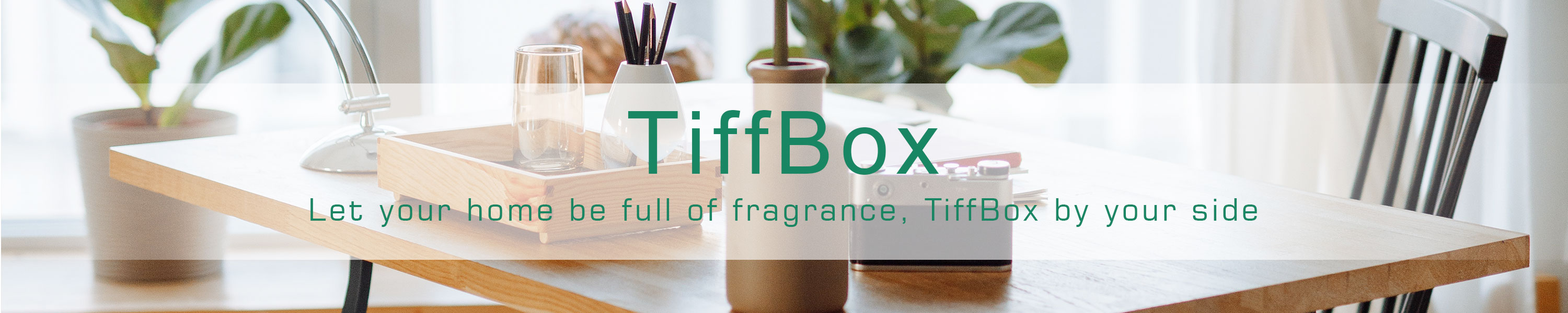 TiffBox Essential Oil Diffuser