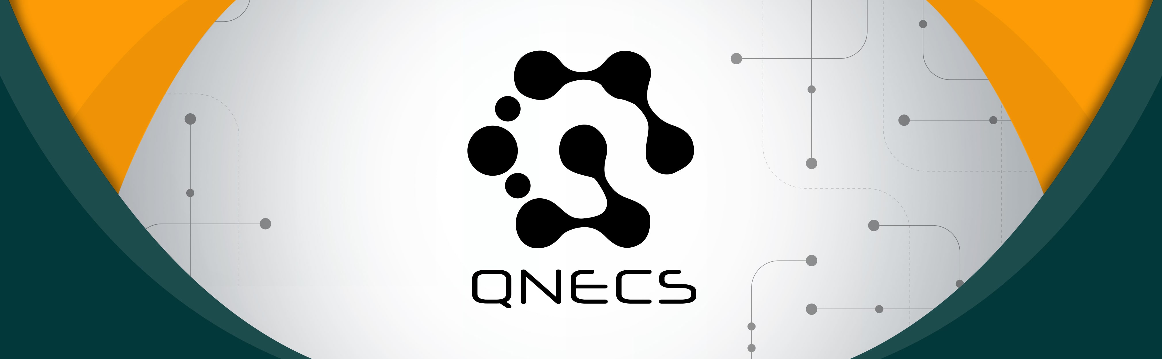Amazon.com: Qnecs Cables