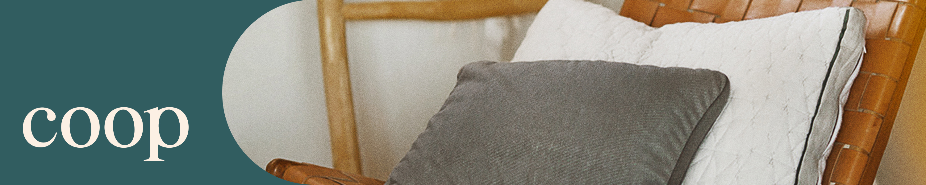 Coop Home Goods Pillow Protectors