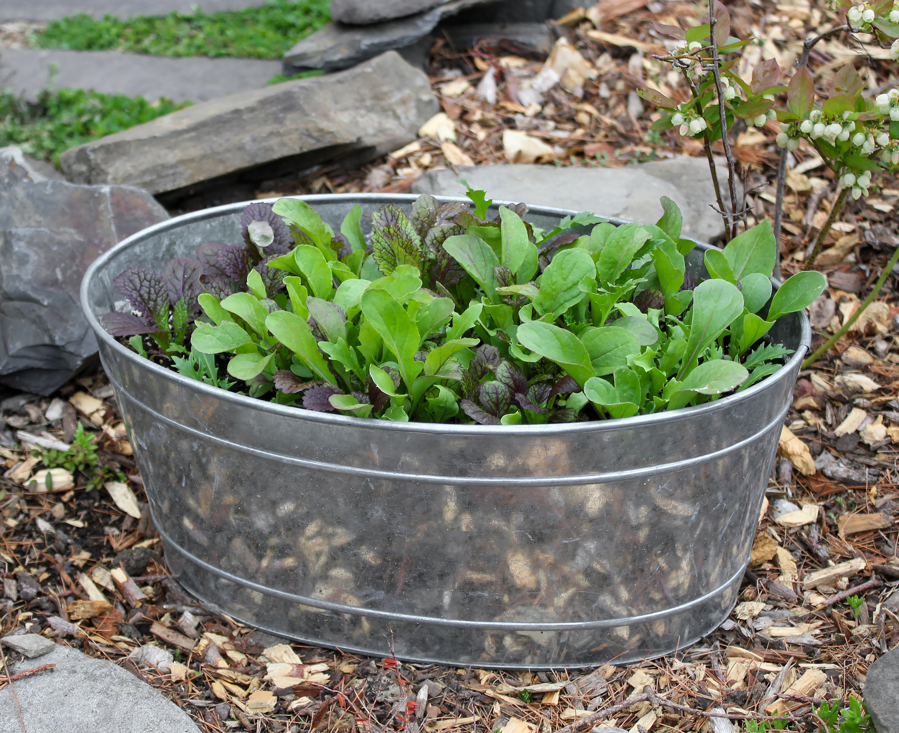 Amazon.com: ACHLA Designs Home & Garden: Tubs and Stands