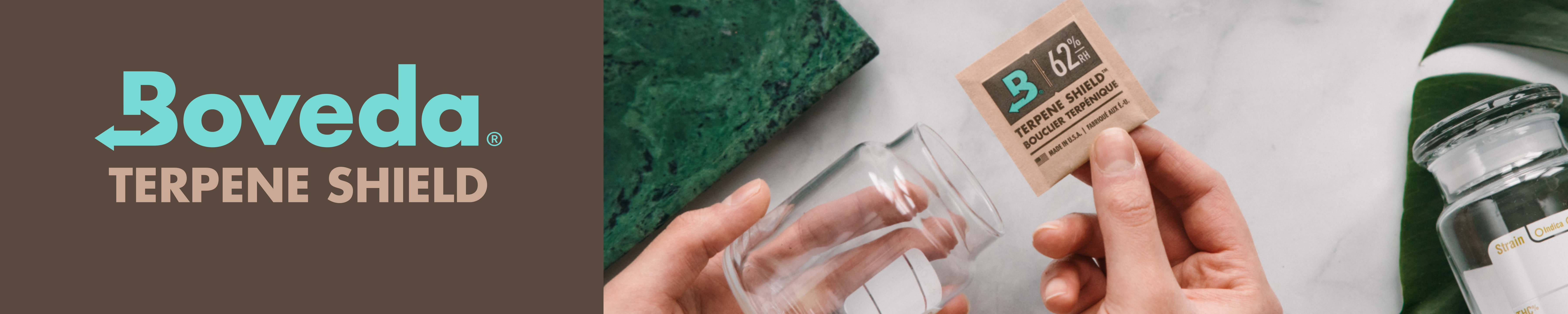 Amazon.ca: Boveda: Glass Containers