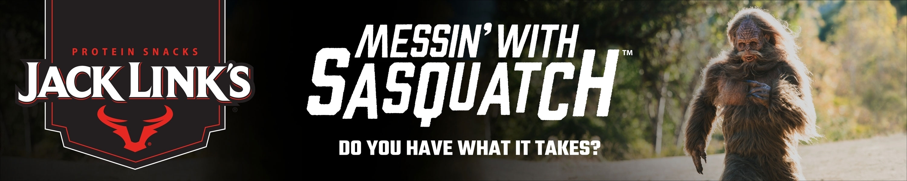 Amazon.com: Jack Link's