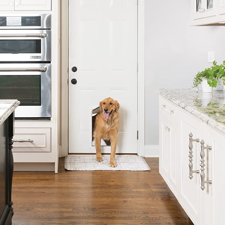 Amazon.ca PetSafe Dog Doors