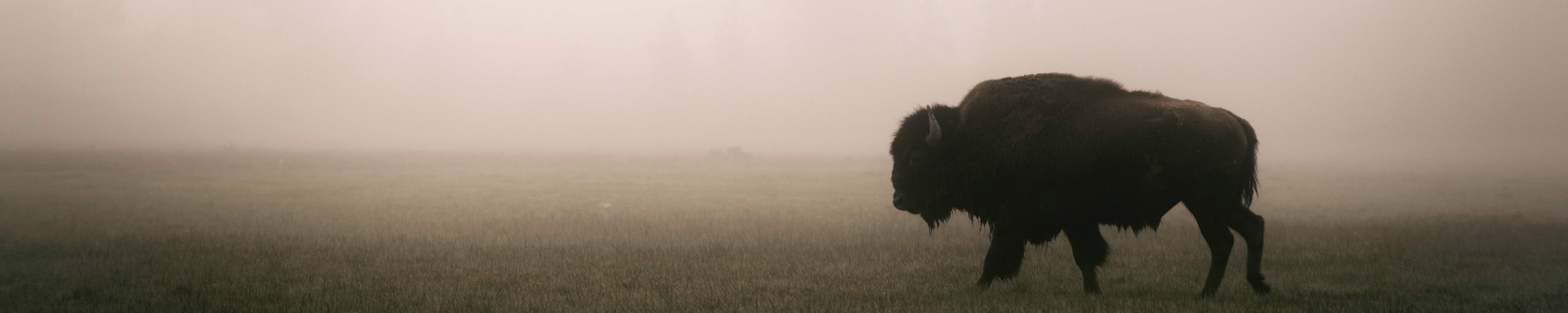 Amazon.ca CANVAS ON DEMAND Landscapes