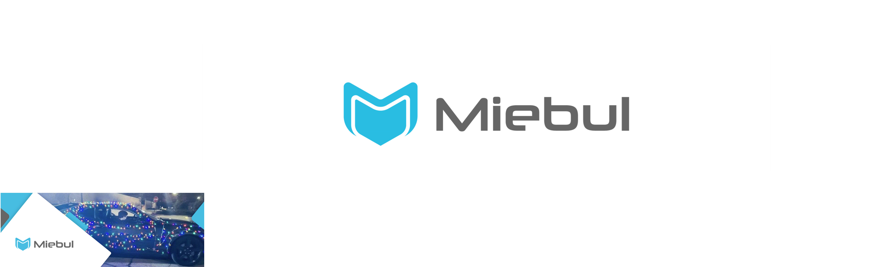 Miebul® Official Light Bulb Camera