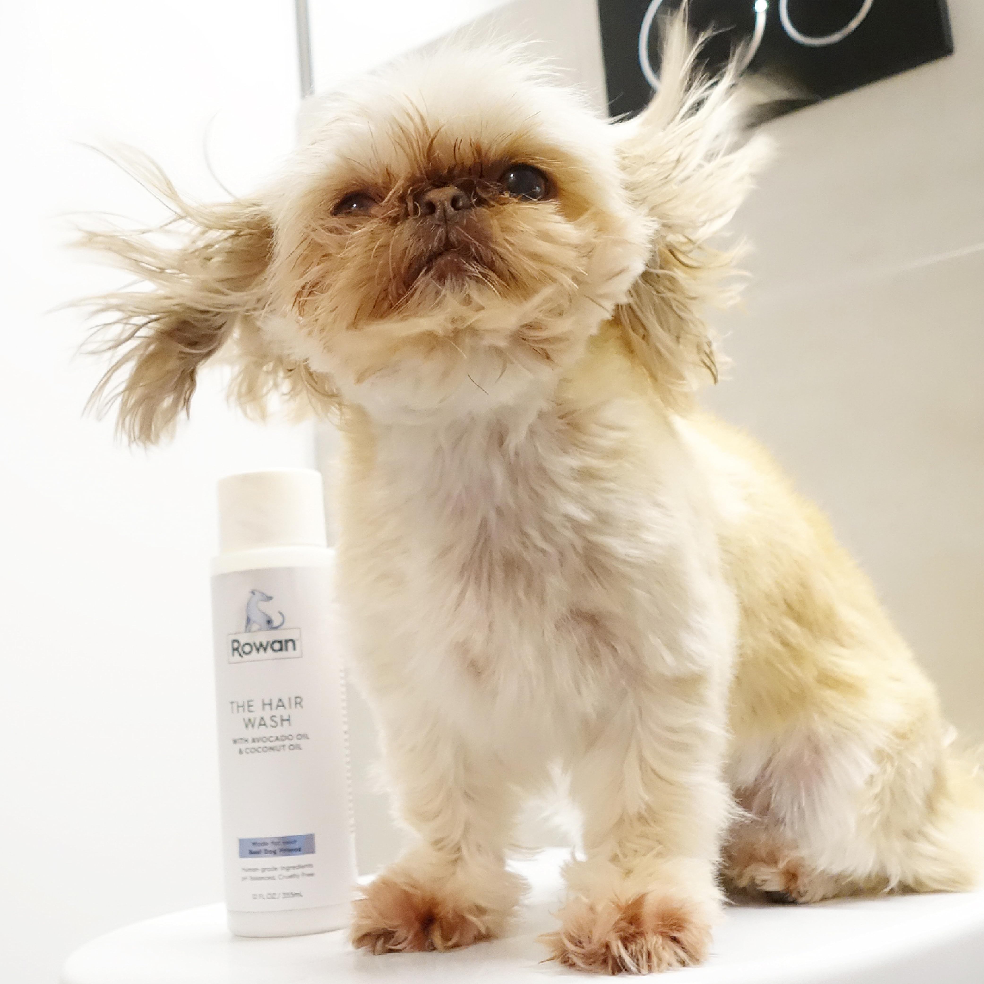 ローワン・ビューティー ローワン Amazon.com: Rowan: Hair Care