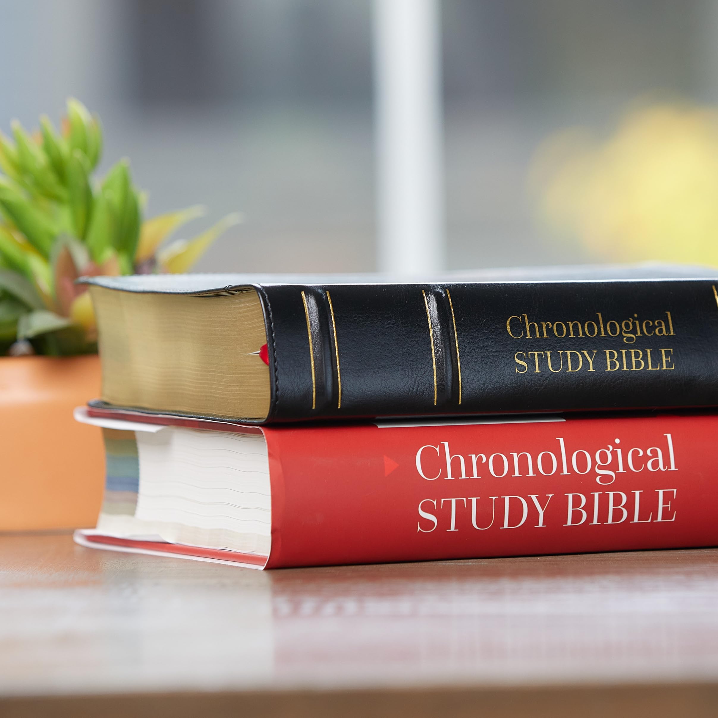 Amazon.com: The Chronological Study Bible