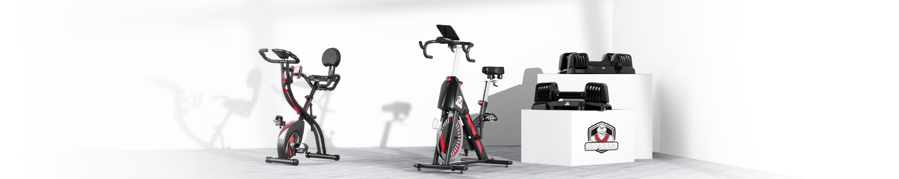 HAPBEAR FITNESS EXERCISE BIKES