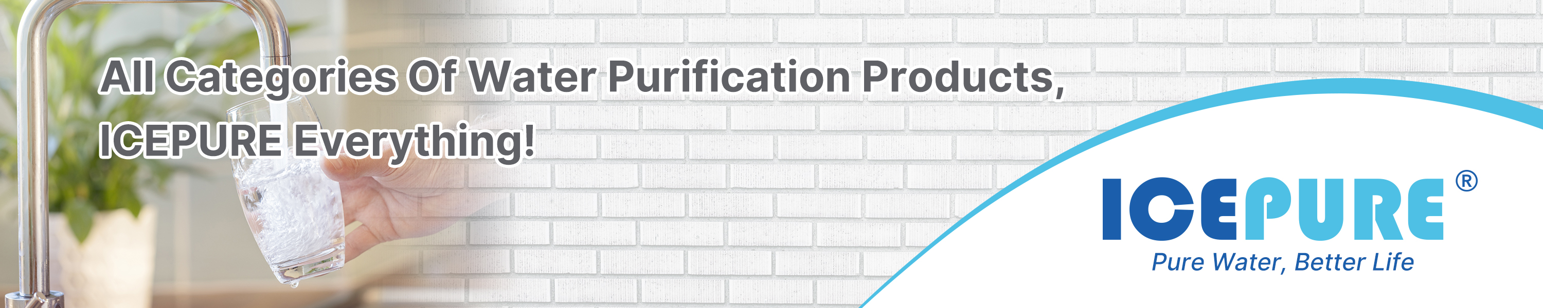 Amazon.ca ICEPURE