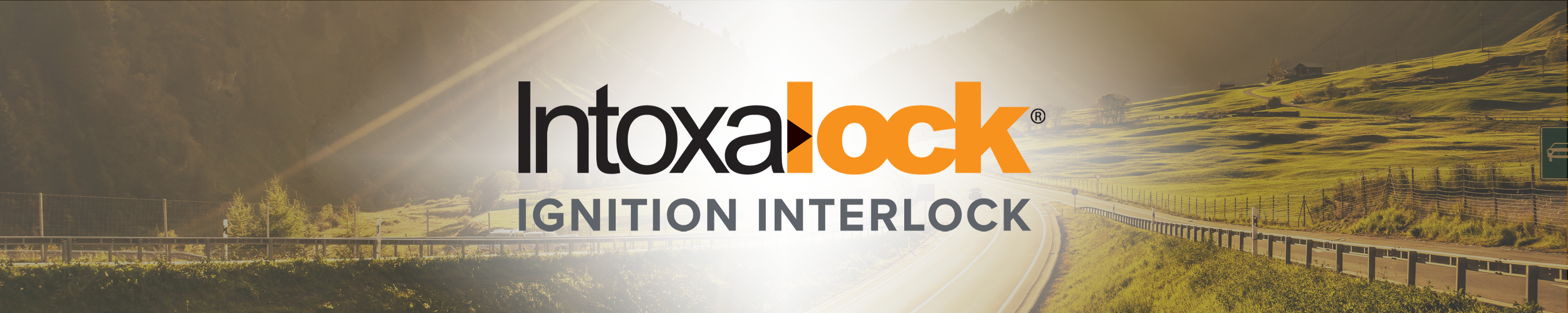 Amazon.com: Intoxalock