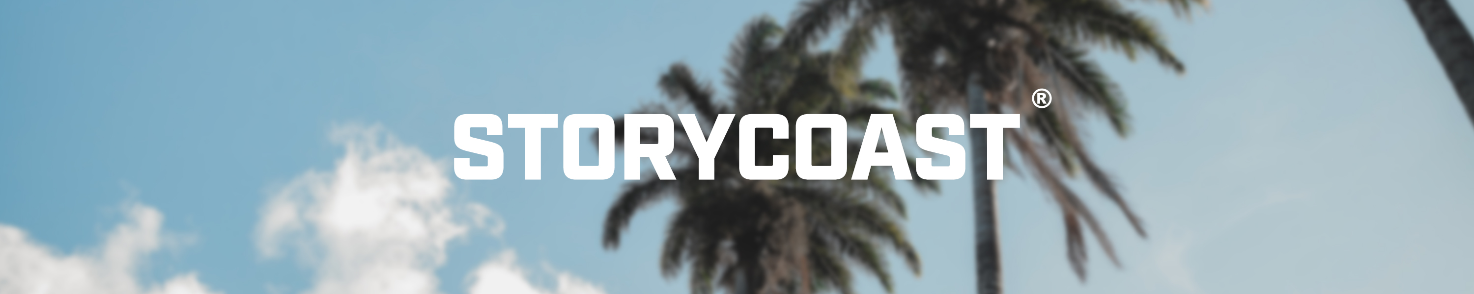 STORYCOAST SAFETY GLASSES