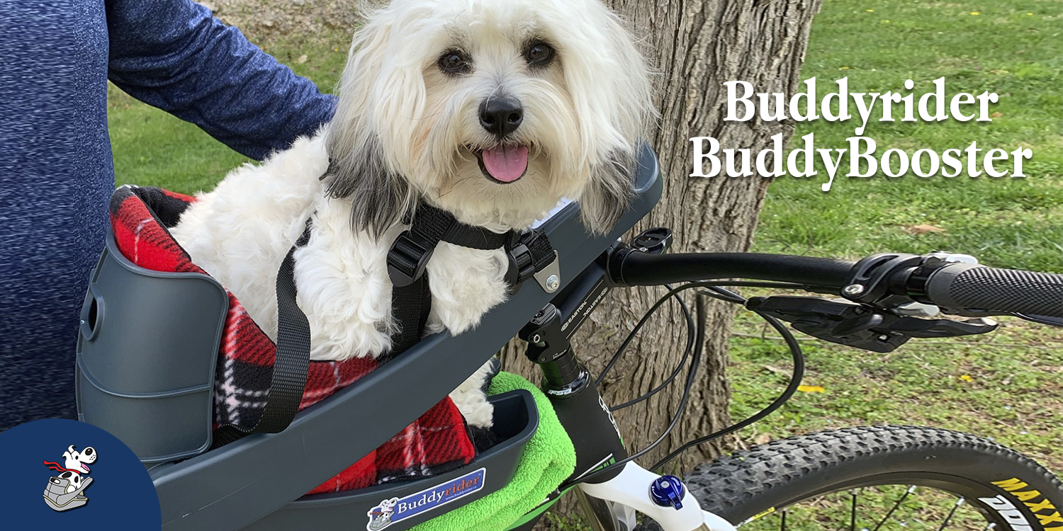 バディーライダー　buddy rider Buddyrider® | Make the World Your Dog Park - Dog Bike Carrier