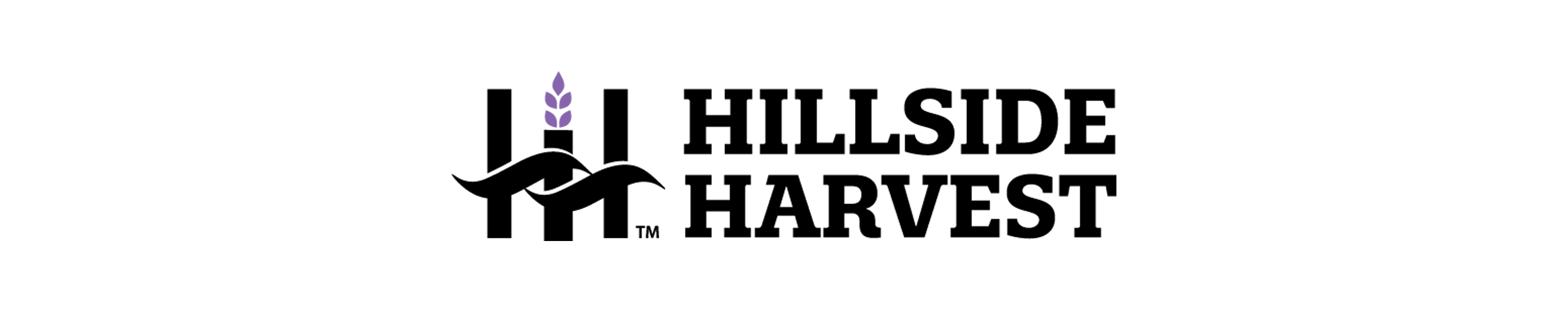 Hillside Harvest Jamaican Jerk Marinade