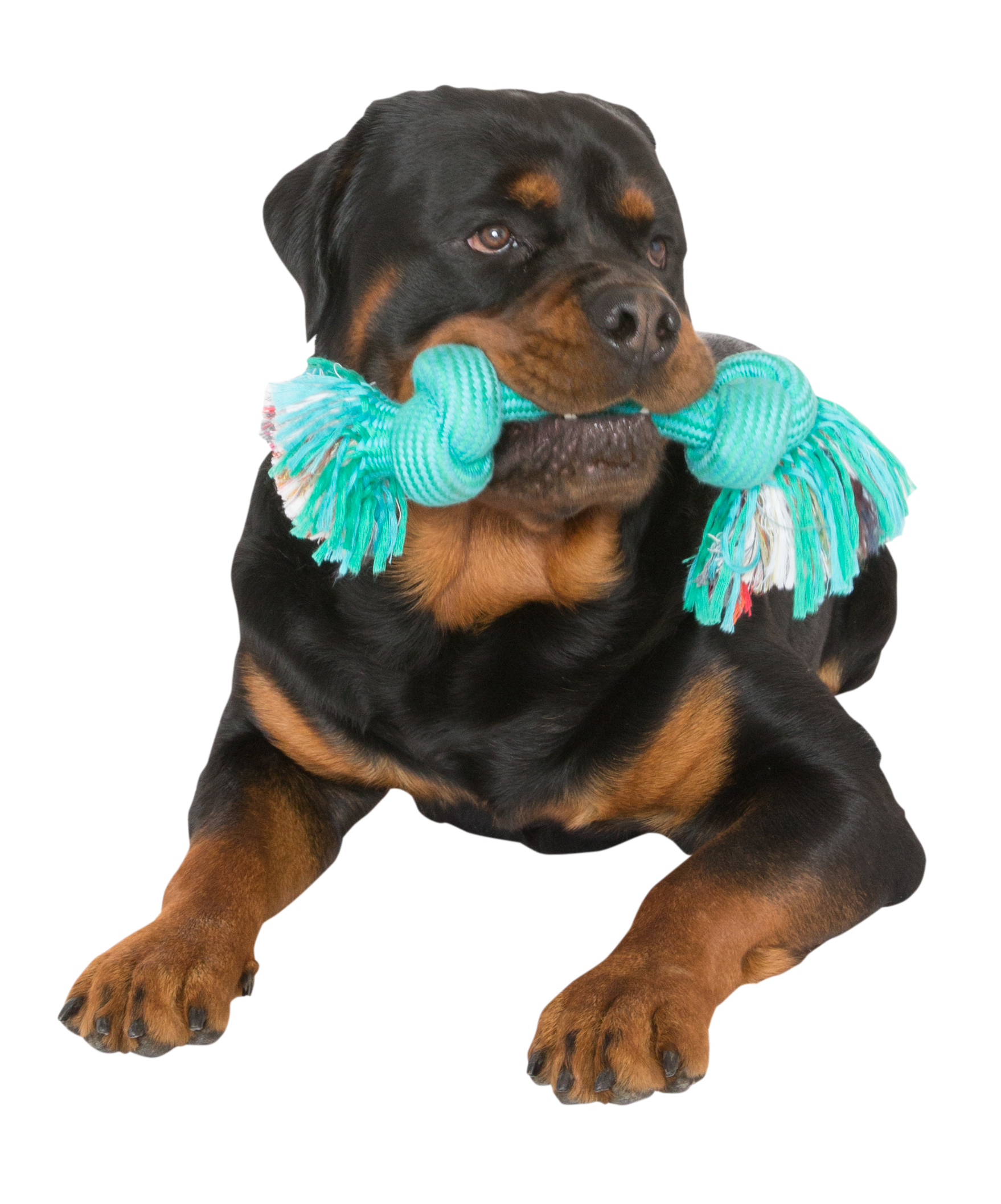 Mammoth Braidys Tug Dog Toy With TPR Ball - Large 20 Inch Rope Toy For Strong Chewers