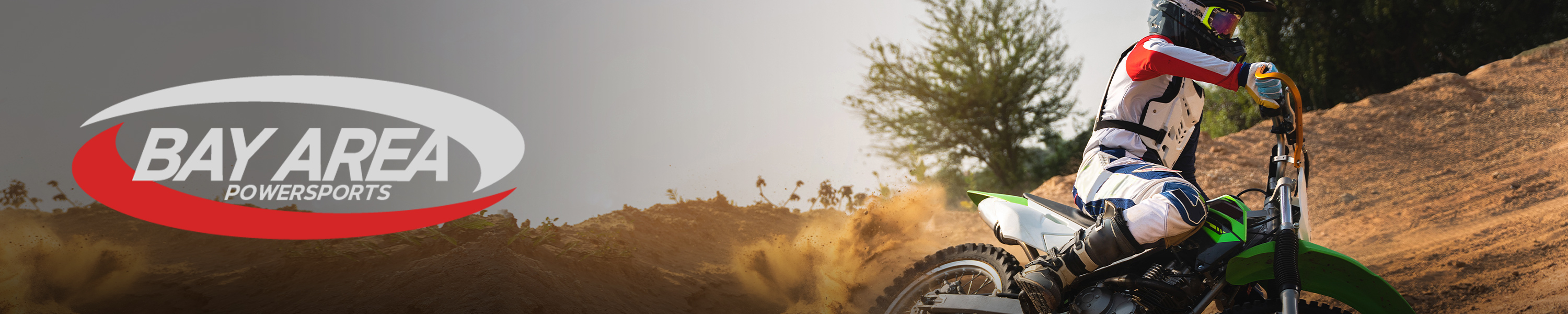 Bay Area Powersports Engine