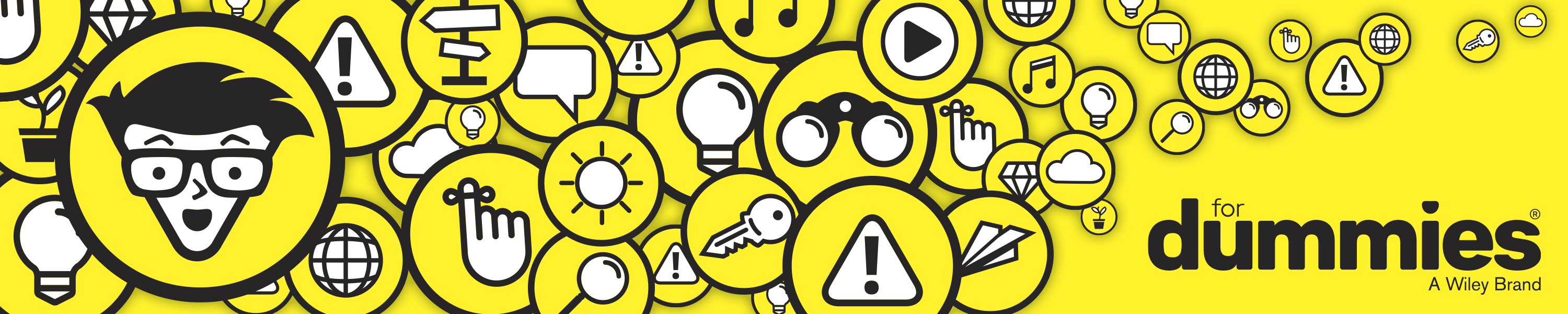 For Dummies