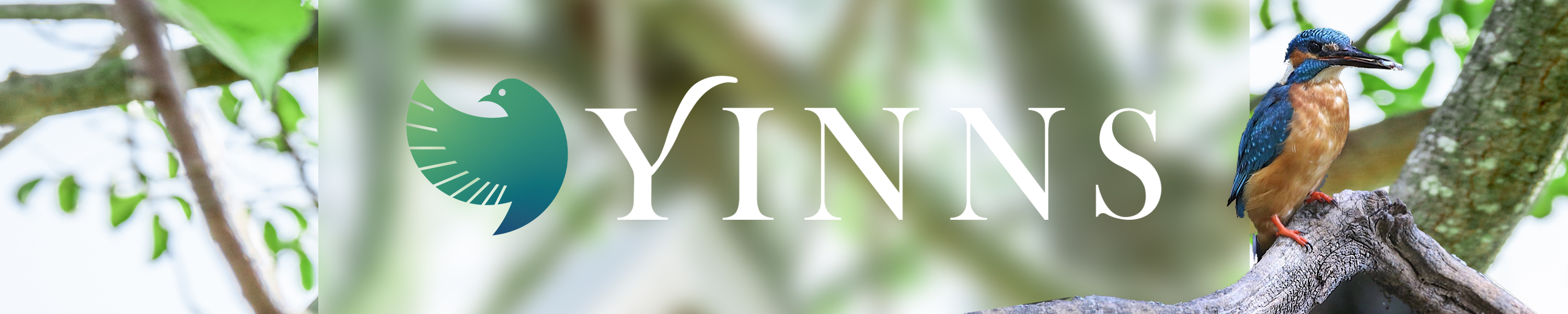 Yinns Hummingbird Feeder