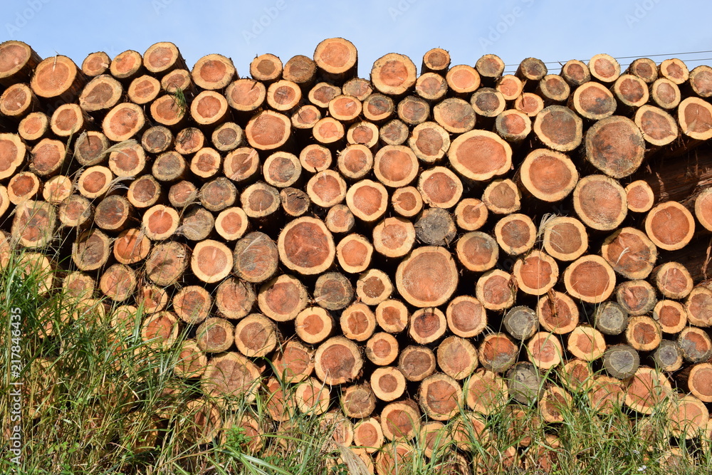 CEDAR ESSENCE CEDAR DECORATIVE BOXES