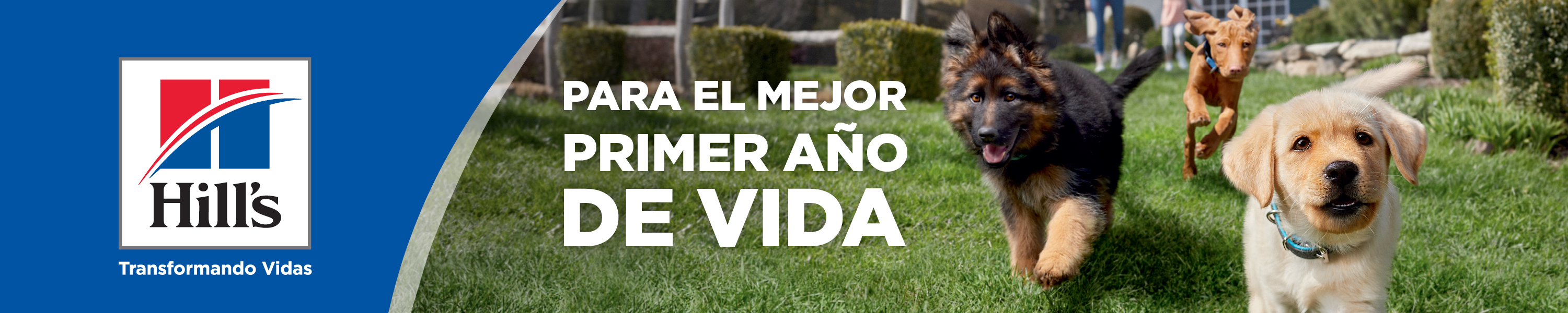 Hill's Science Diet Cachorro