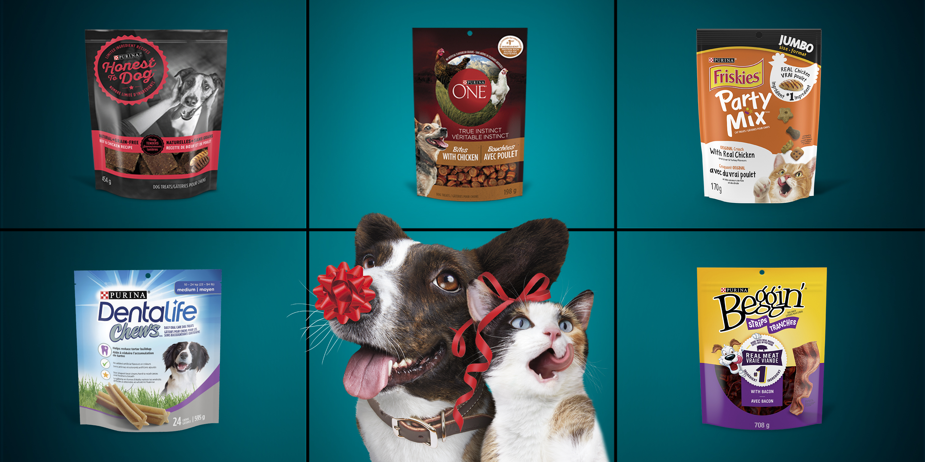 Amazon.ca Purina Treats Home page