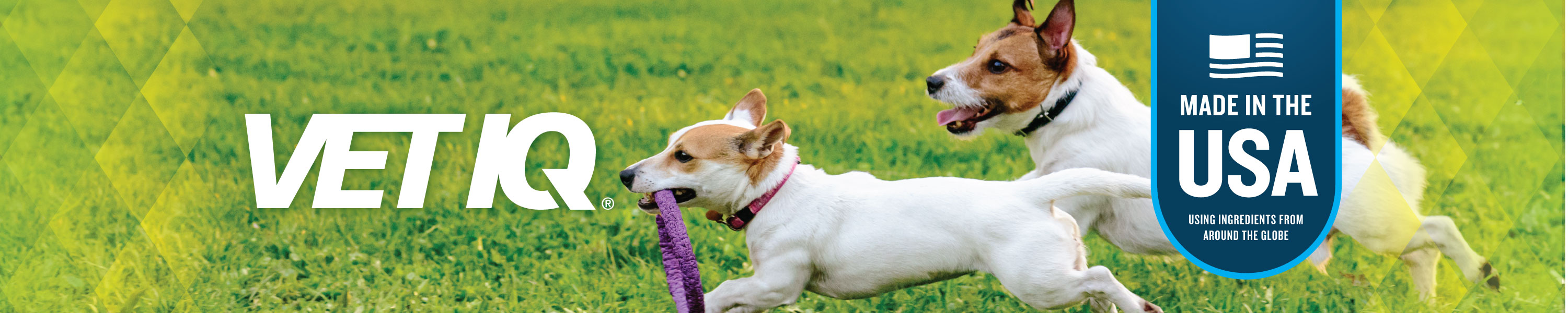 VetIQ Health Supplements Hip & Joint Health