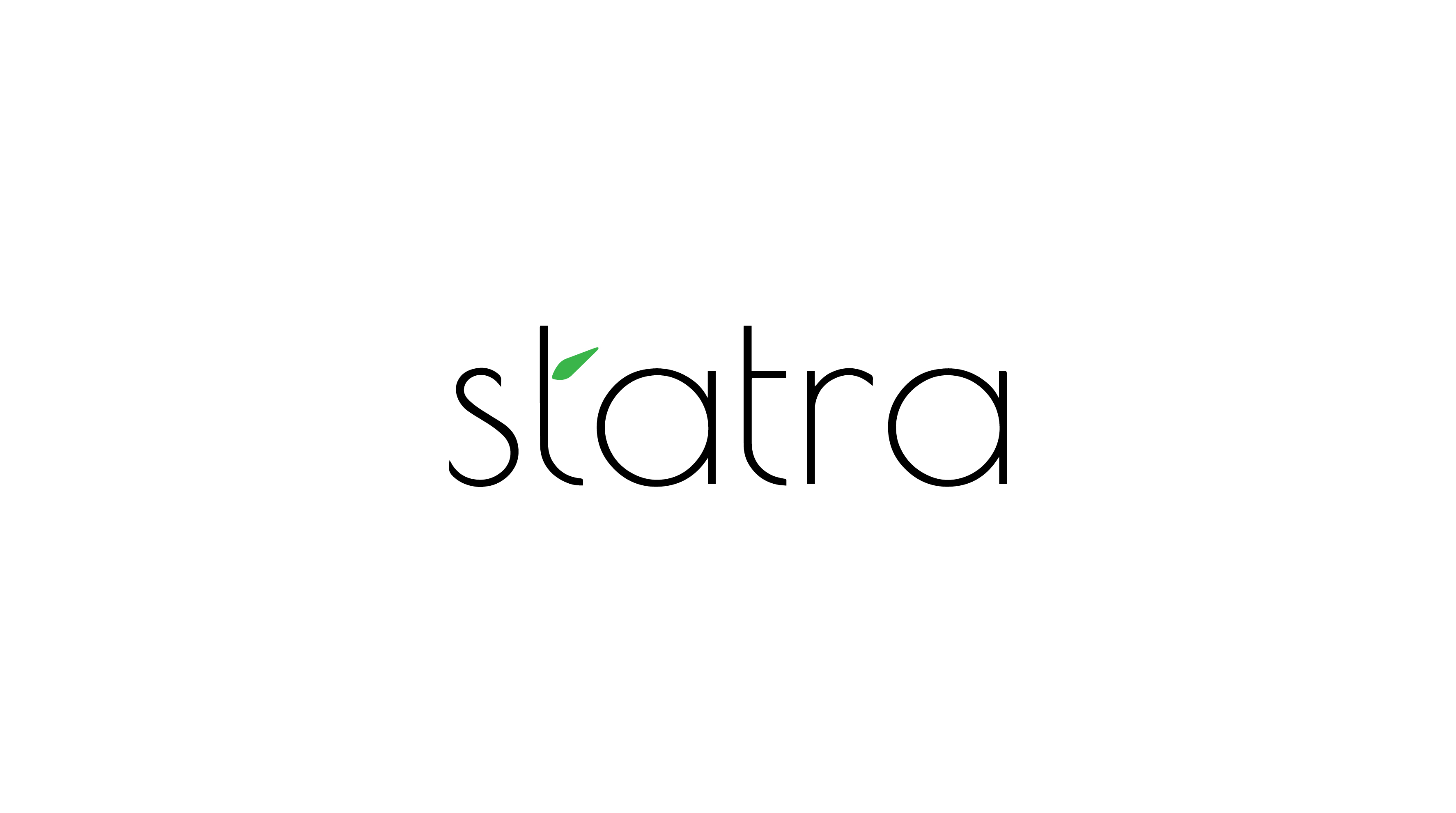 Amazon.com: Statra: Accessories