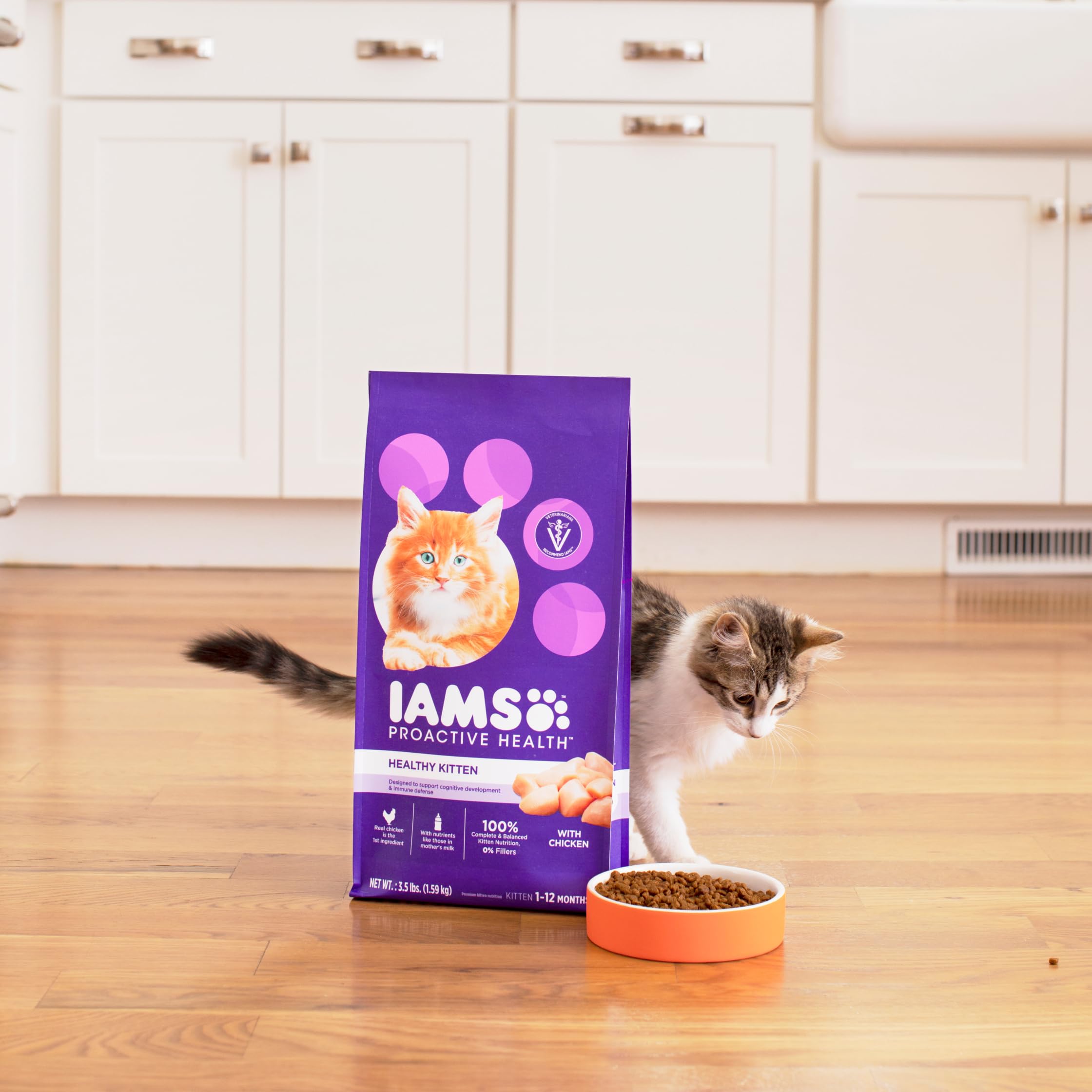 IAMS Dry Cat Food