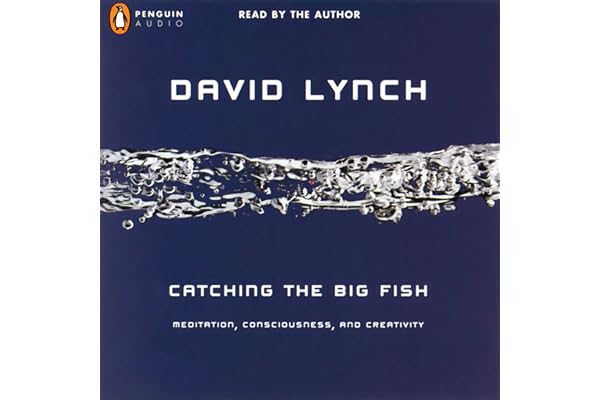 Catching the Big Fish: Meditation, Consciousness, and Creativity
